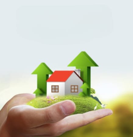 whatsapp image 2025 12 11 at 11.47.03 am